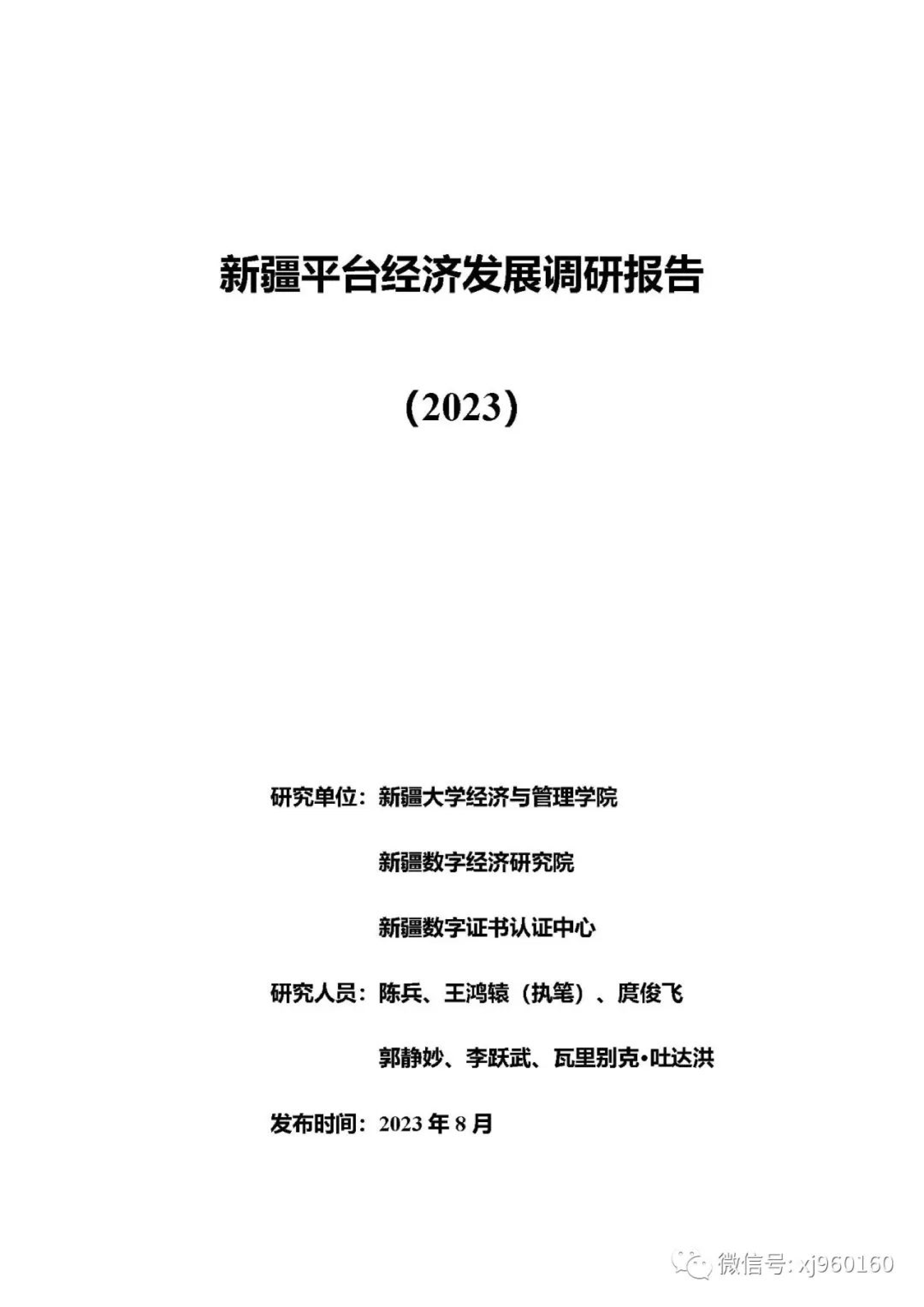 新疆大学新疆数字经济研究院新疆平台经济发展调研报告202336页